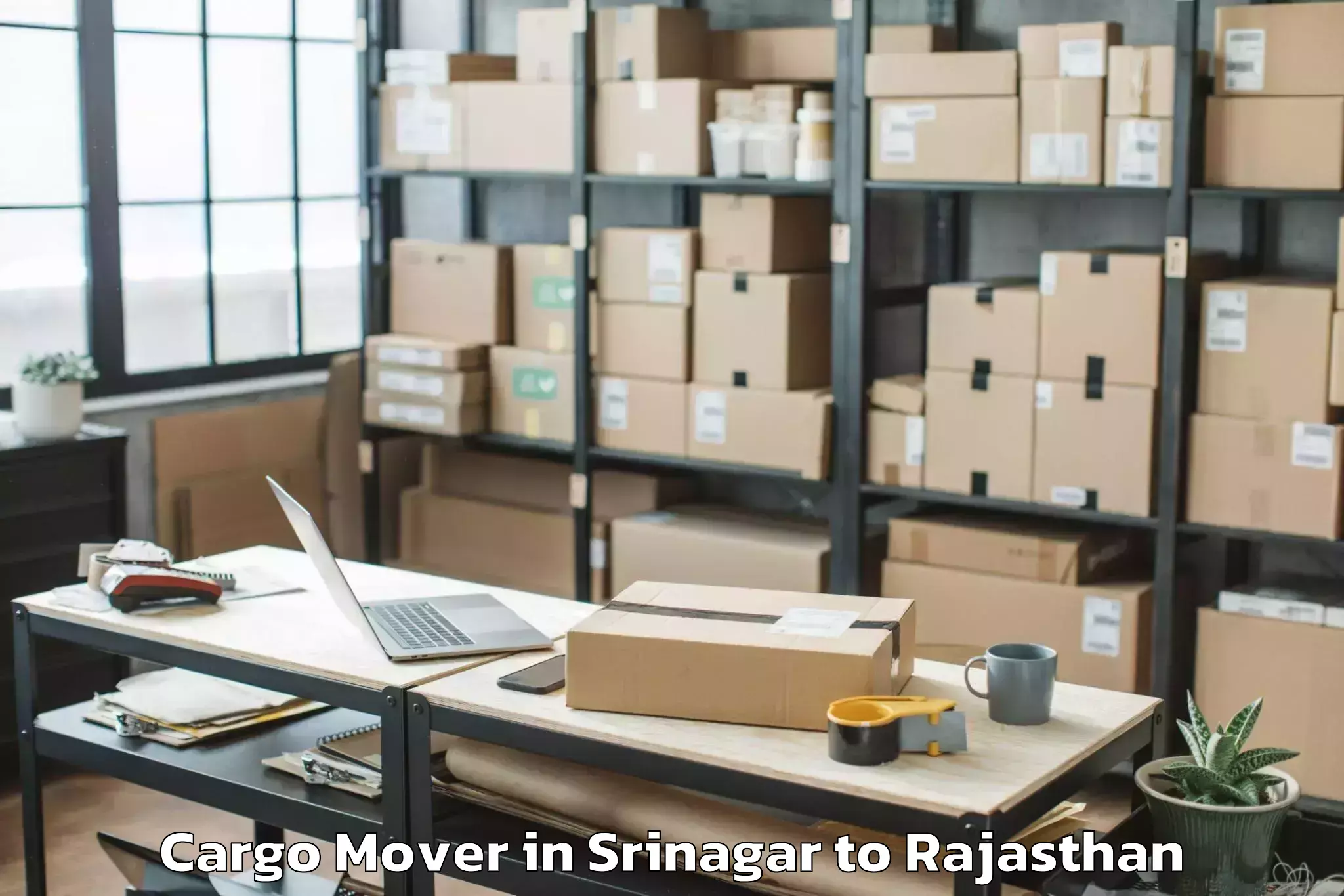 Srinagar to Jhalawar Cargo Mover Booking